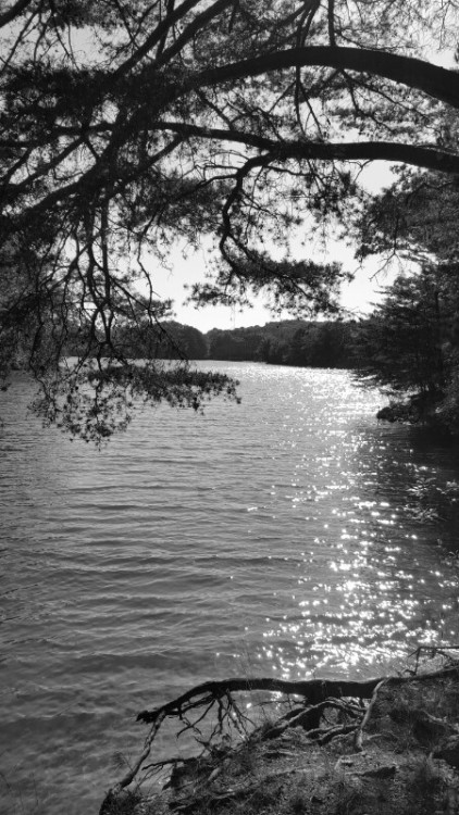 #blacknwhite #lake