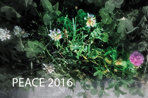 PEACE 2016 August 5 - 26, 2016 Reception: Tuesday, August 9, 5:50-7:30pm Marion Held • Kazuko Hyakuda Kunio Izuka • Keiko Koshimitsu • Mieko Mitachi Seiko A. Purdue • Akemi Takeda go to photos PEACE 2016 is the 3rd exhibition of Peace Project...