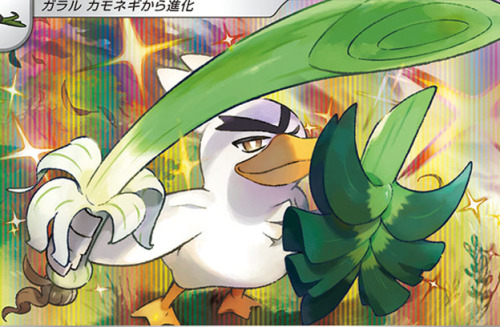 redd-version