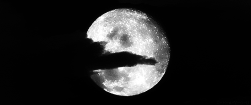 «THE SHINE» : هناك ليالي تصمت بها الذئاب؛ فيعوي القمر !  Tumblr_n479tkMvVW1s4urino1_500