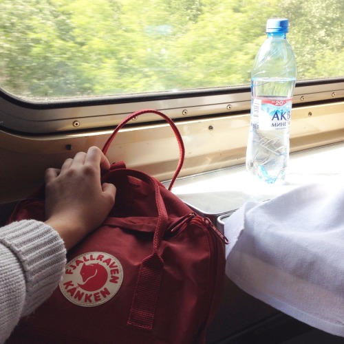 matissie:train necessities 