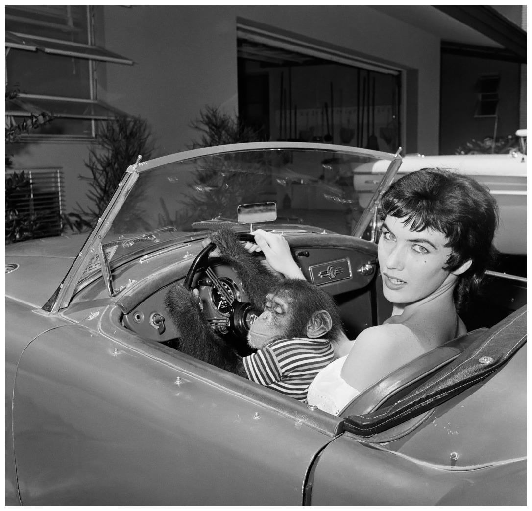 blueblackdream: "Bunny Yeager, Dondi Penn con chimpancÃ© en auto, 1959"