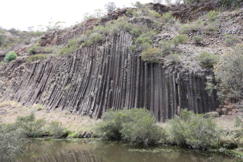 Organ Pipes National Park Tumblr