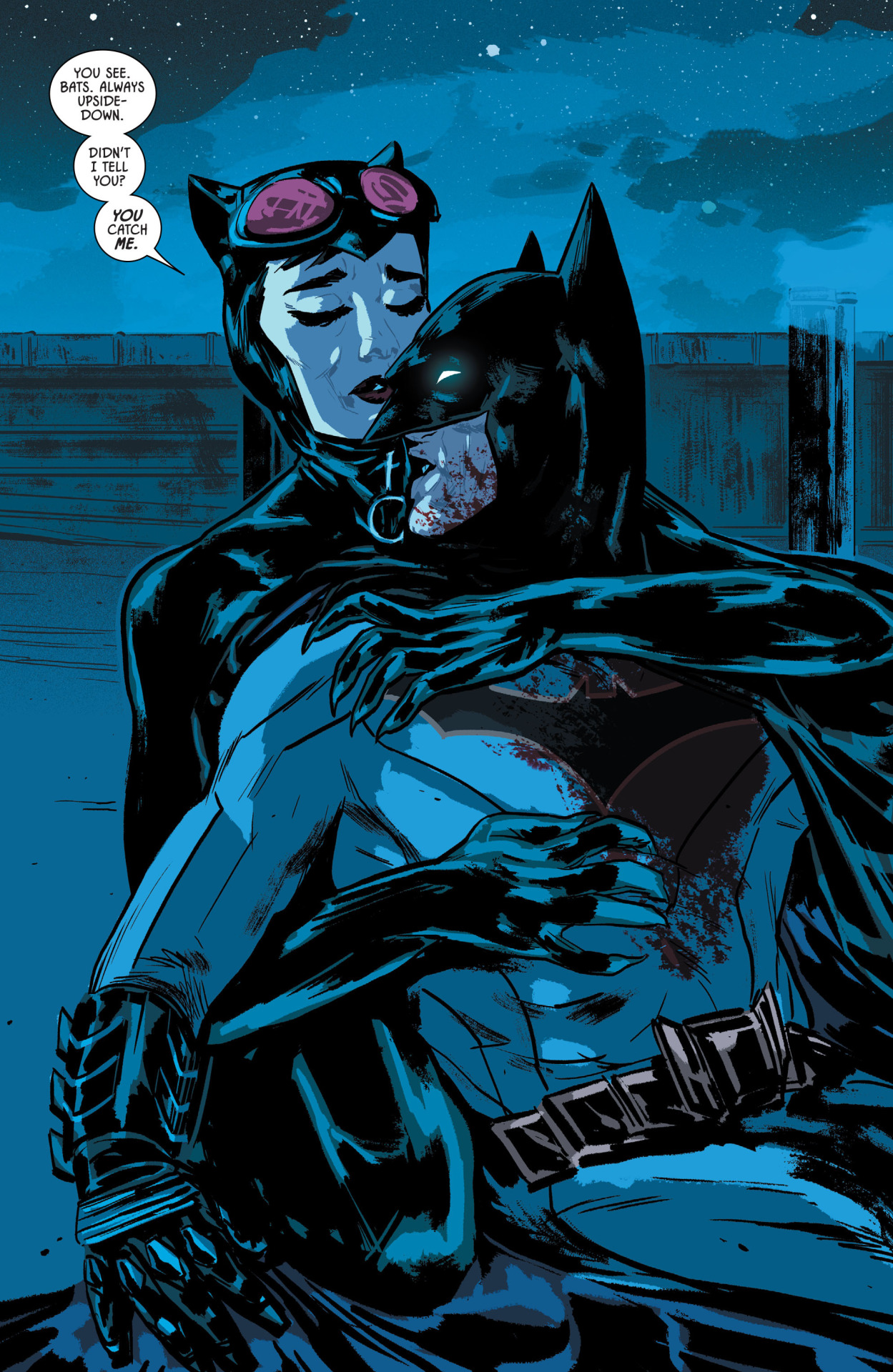 Bat And Cat Romance — A Return To Love The Rebirth Of Batcat