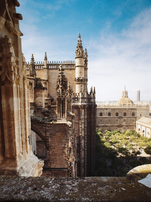 breathtakingdestinations:Seville - Spain (by Franek N) 