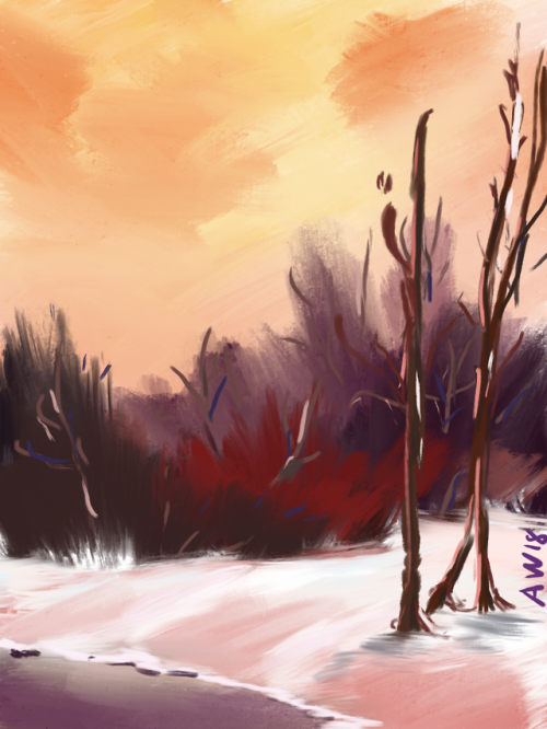 Calm winter scene. Bob Ross, you funky little magician.