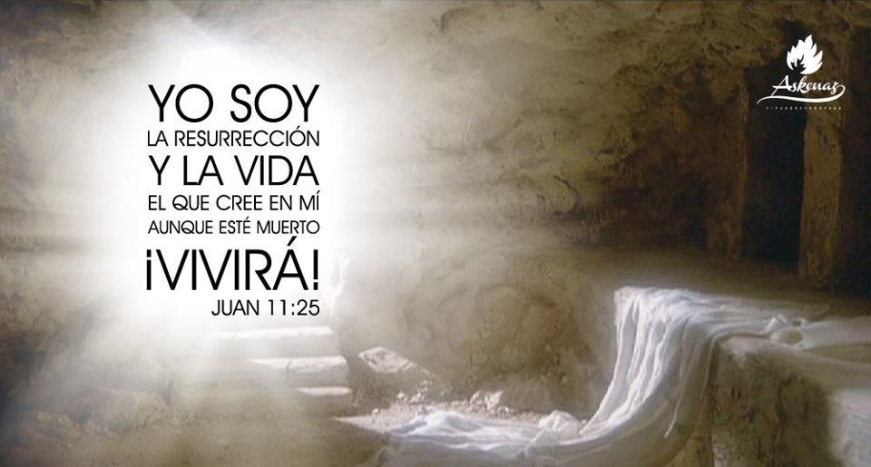 El Retorno Del Rey JesÚs Juan 11 Jesús La Resurrección Y La Vida