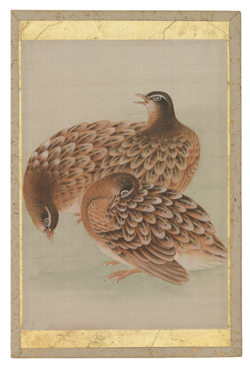 heaveninawildflower:Pictures of birds from an album of silk...