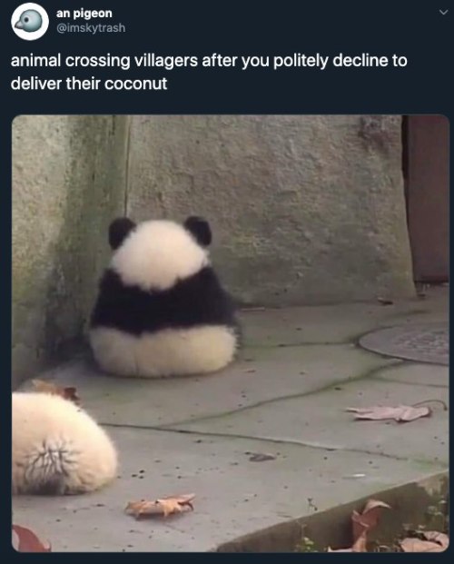 animalcrossingmemes