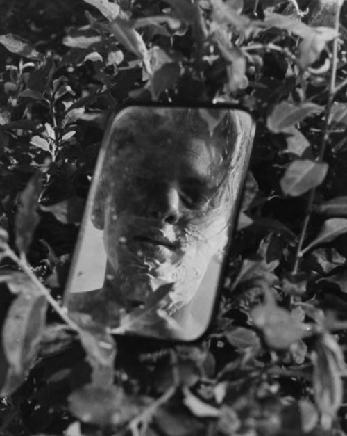 John Fernhout, Photo by Eva Besnyö, 1937