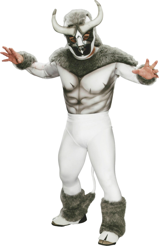 wwe el torito toy