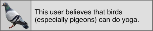 unrelatableuserboxes:{This user believes that birds (especially...