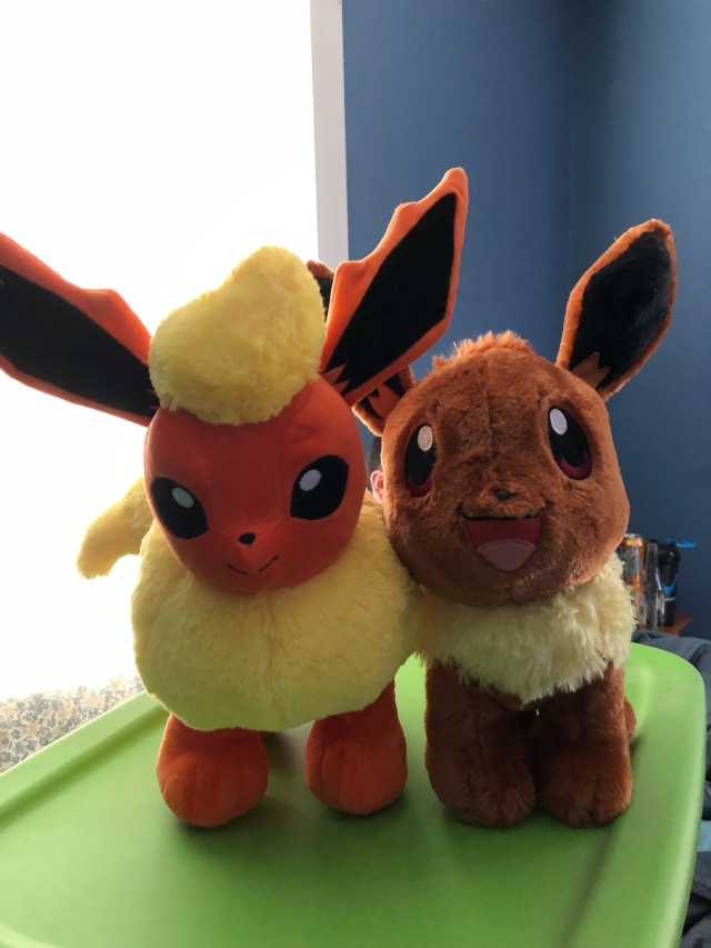 eevee evolution teddies