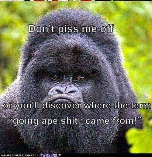 ape shit on Tumblr