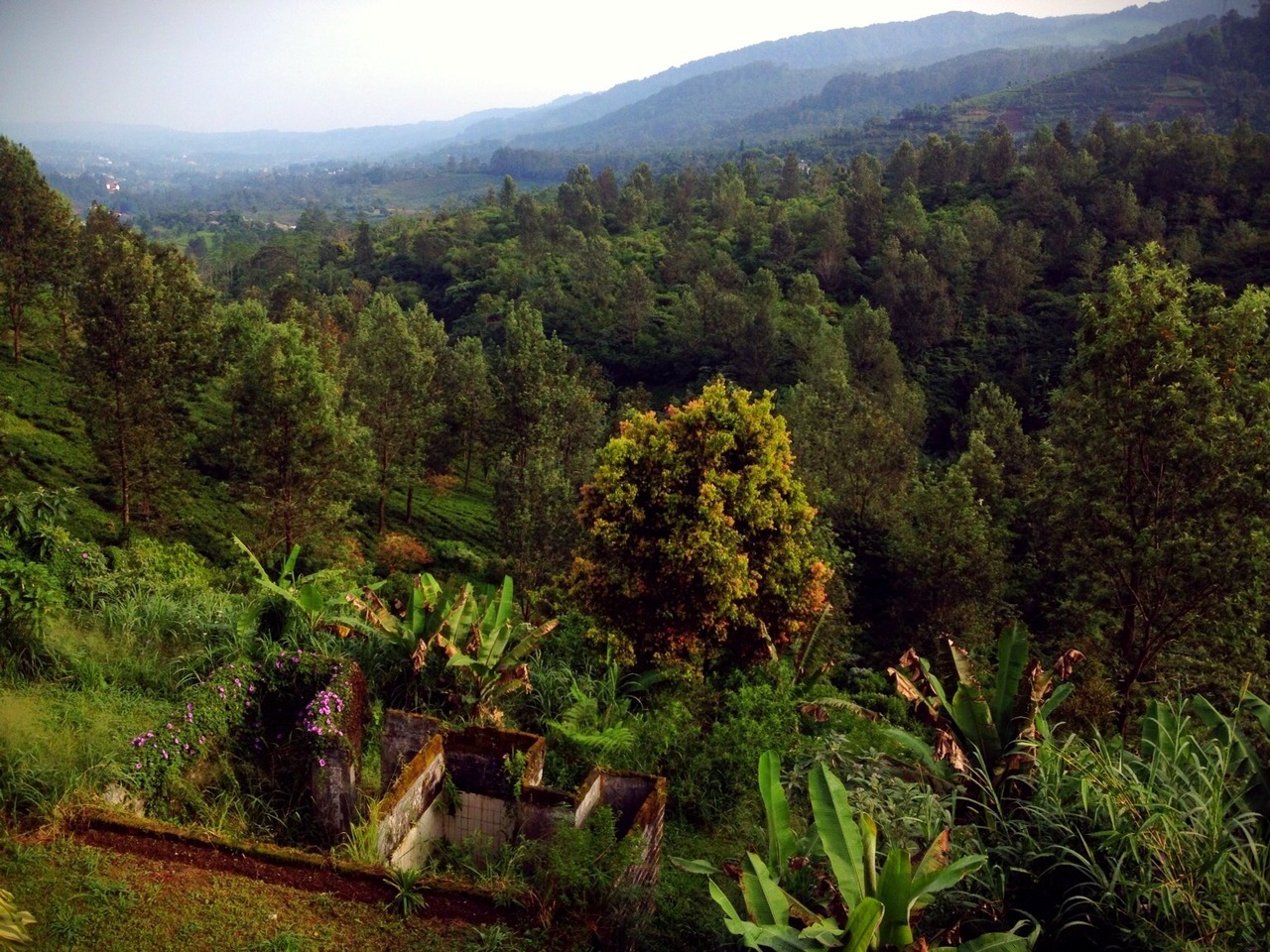 Agus B  at Villa Puncak  Resort Cisarua  Bogor  View on 