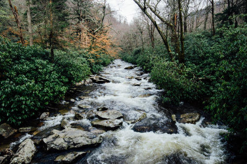 kyleethanevans:smoky mountains.