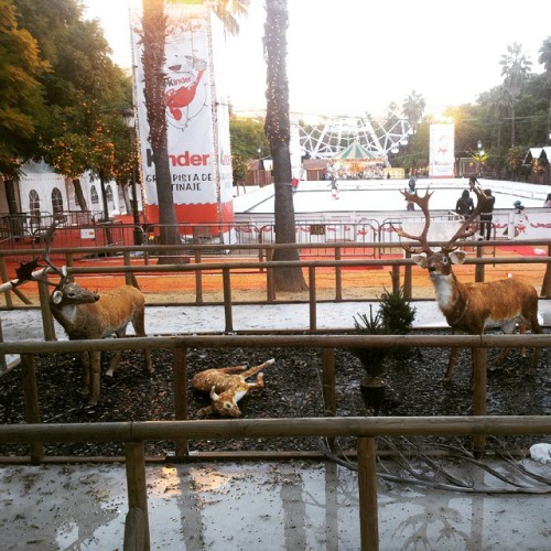 Bambi is deadBambi ha muerto#Disney #Bambi #dead #funny...