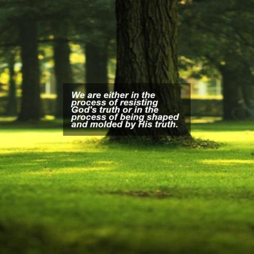 inspirational-quotes-motivation