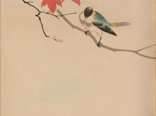 Hōgajō v. 2 (1901) by Takeuchi Jiro.