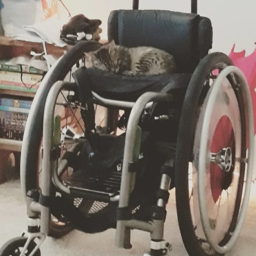 today is my wheelchairs 16th birthday! happy birthday...