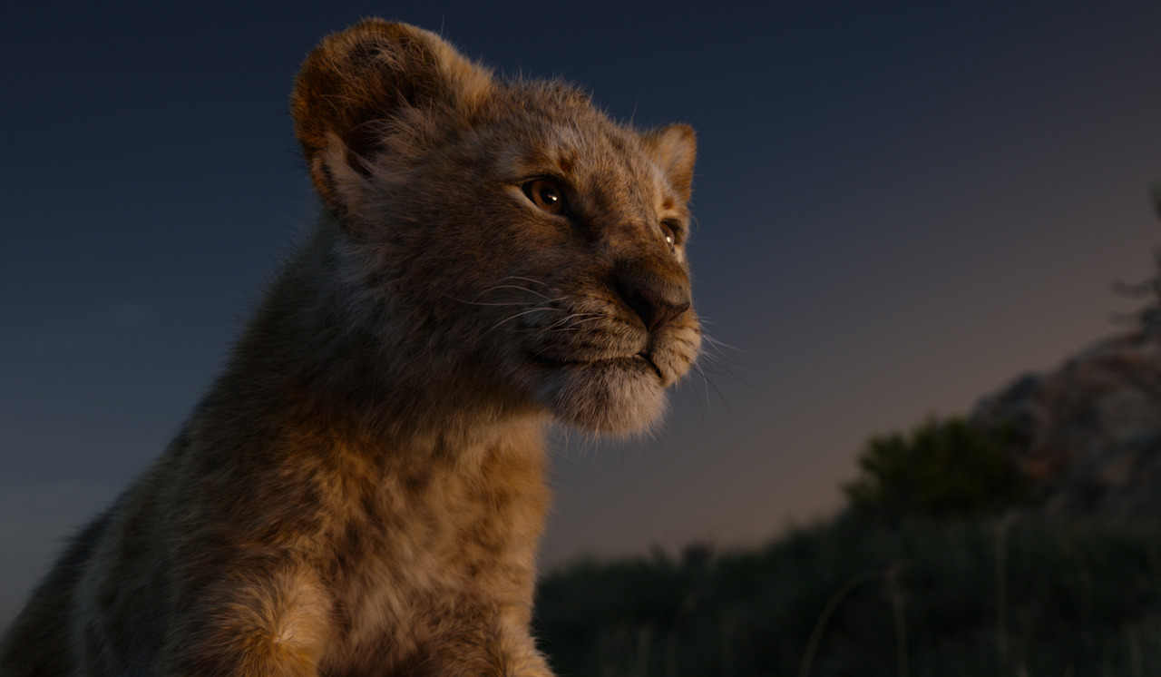 The Circle of Live (Action).“The effort here was to keep the filmmaking tradition. I think there’s a balance between innovation and tradition.” —The Lion King director Jon Favreau and cast chat with us about the visually stunning new Disney...