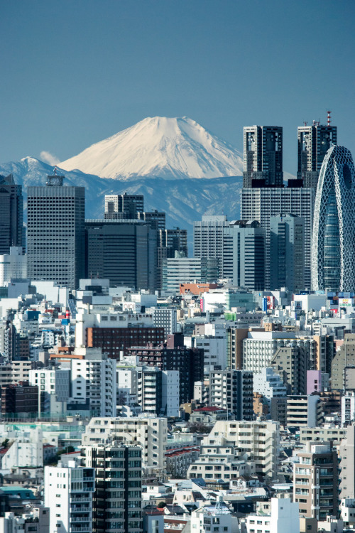 ourbedtimedreams:Fuji view from Tokyo by Shinichiro Saka