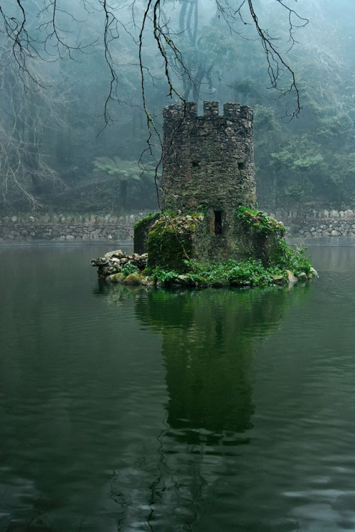 livesunique:Swamp Castle, Pena National Palace, Sintra, Portugal