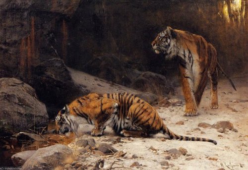 Tigers by Wilhelm Kuhnert (1865-1926)