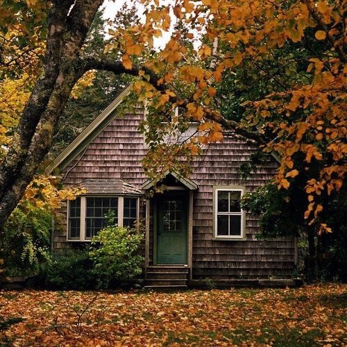 oldfarmhouse:Pinterest • The world’s catalog of ideas...