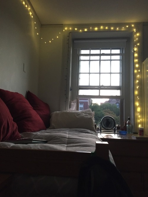  cozy  dorm  room  Tumblr 