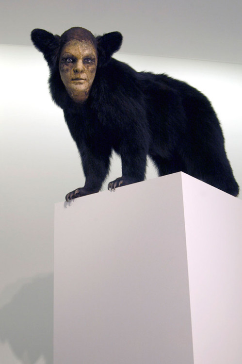 unexplained-events:Kate Clark’s Twist on TaxidermyKate Clark,...