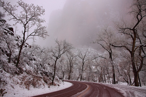 Zion National Park (by ThorsHammer94539)