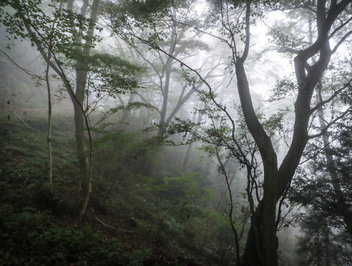 Day 5 in Japan.I climbed Mt. Takao! Well, ok, I took the cable...