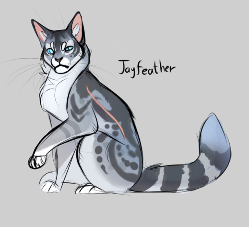 Renufur 30 Day Warrior Cats Challenge Day 1 Favorite