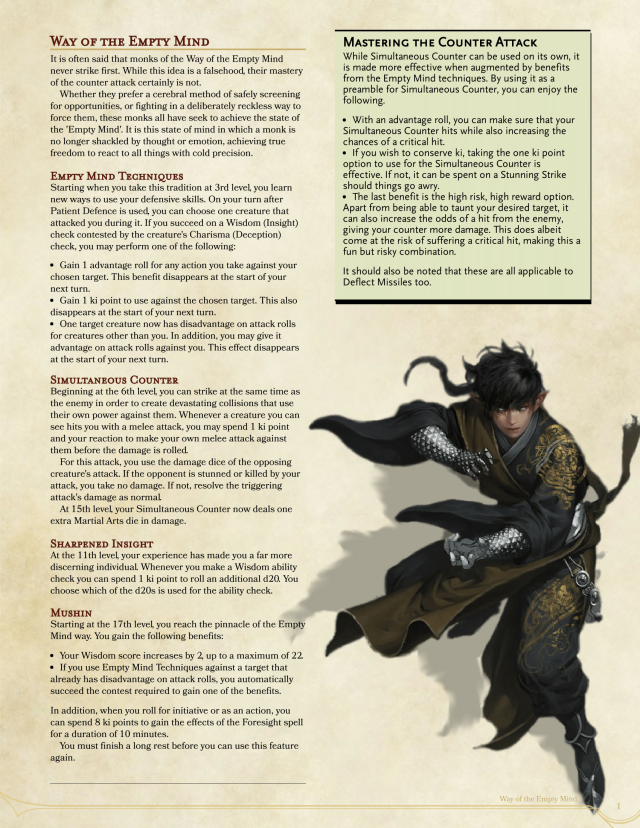 human-male-monk-mid-kick-pathfinder-pfrpg-dnd-d-d-d20-fantasy