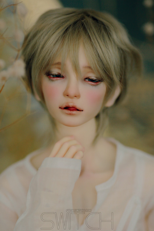 den of angels bjd