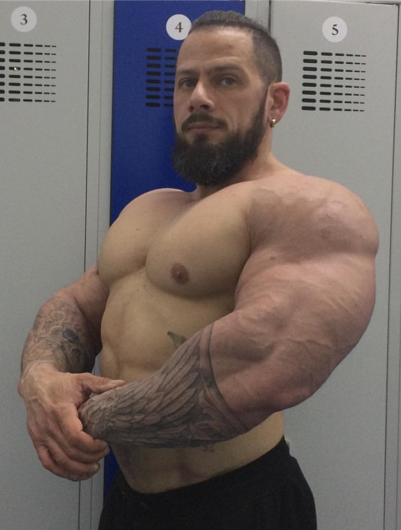 Aleksei Bekker Musculos Roids Y Osos