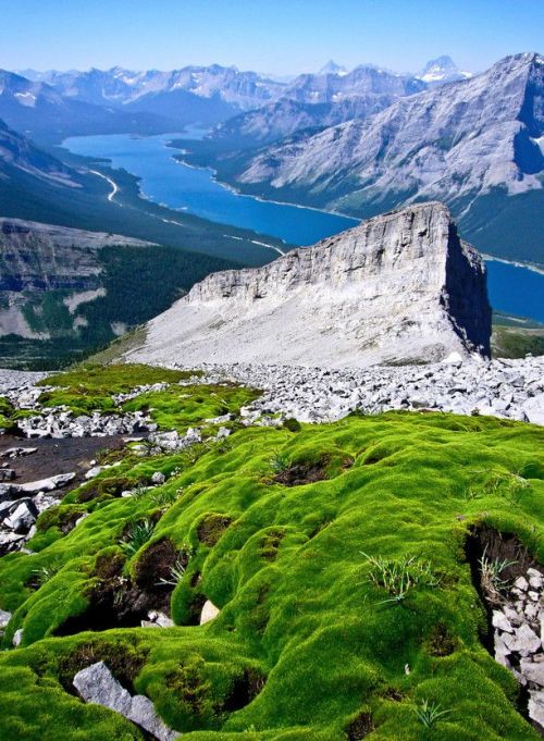 Mt Sparrowhawk, Alberta, Canada