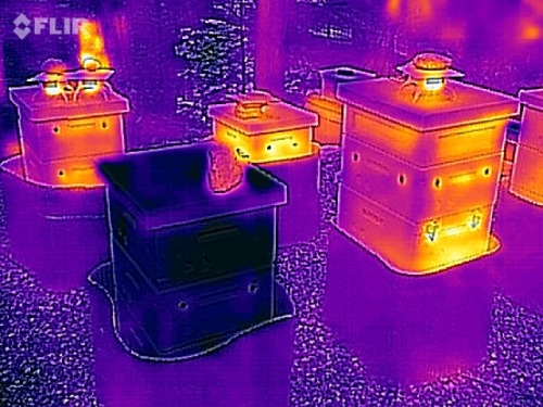 2016-12-31 Thermal images of the apiary.  You can see pretty...