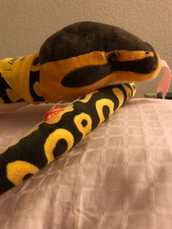 ball python stuffed animal