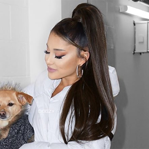 archivesariana