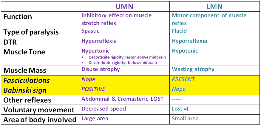 My Notes for USMLE — UMN & LMN LESIONS * UMN is the motoneuron that...