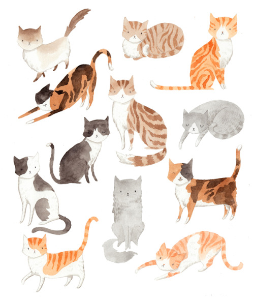 ohmycavalier:Some cats & dogs for fun &...