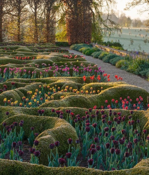 florealegiardini:Broughton Grange Garden | clivenichols