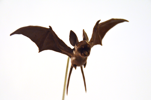 claypita:realistic take of the Pokémon Crobat and some little...