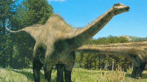 diplodocus stegosaurus