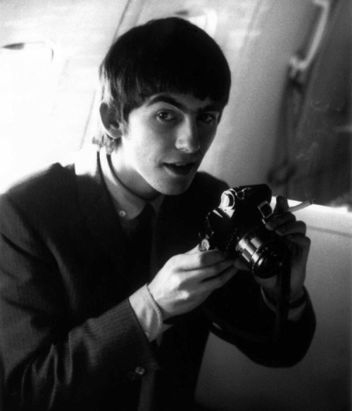 grotty-beatles:reblog for george harrison eyebrow