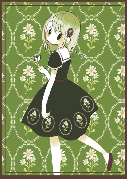 mogu-haconiwa