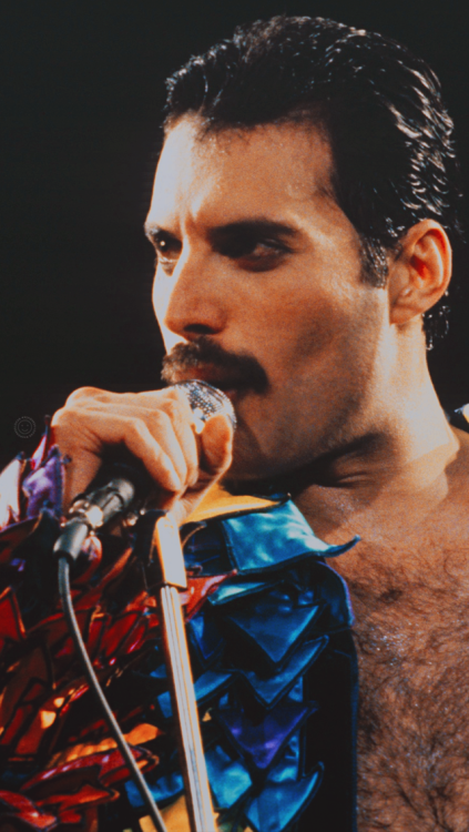 lockscreens-freddie-mercury | Tumblr