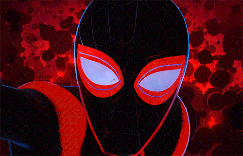 dailyspiderman